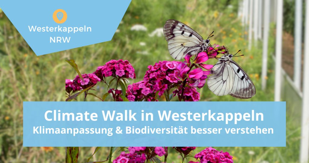 Blumenwiese mit Schmetterlingen, Text "Climate Walk"